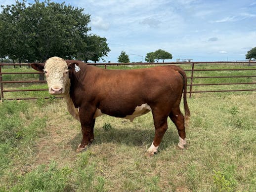 Butler Ranch 