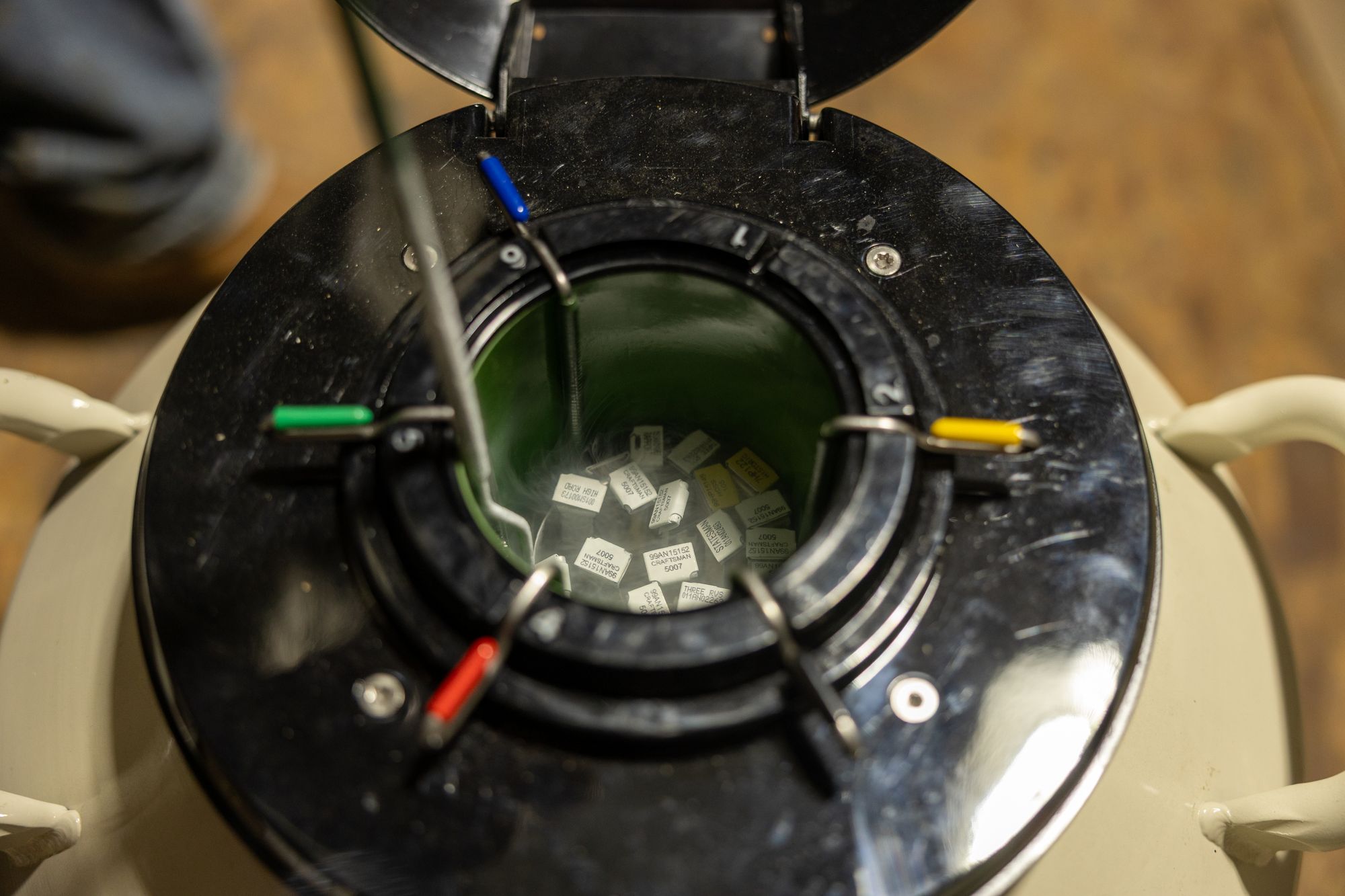 Artificial Insemination and Preg Checking Classes | New Raymer, CO