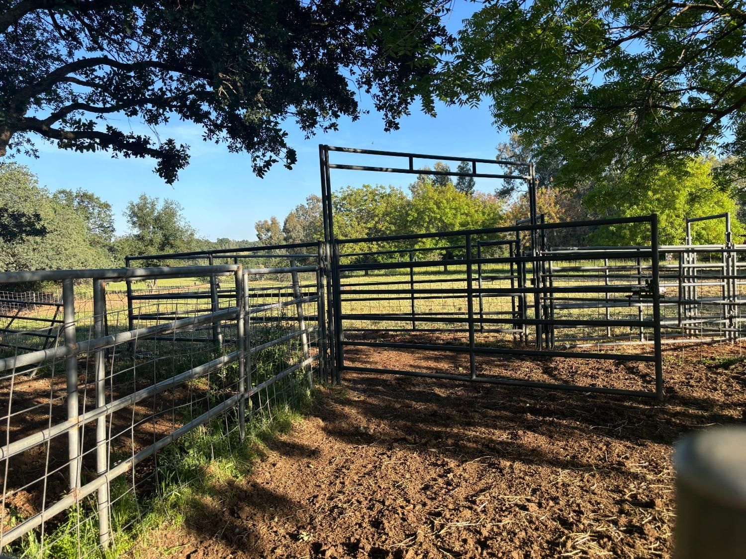 FOR SALE - A MUST SEE!