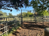 FOR SALE - A MUST SEE!