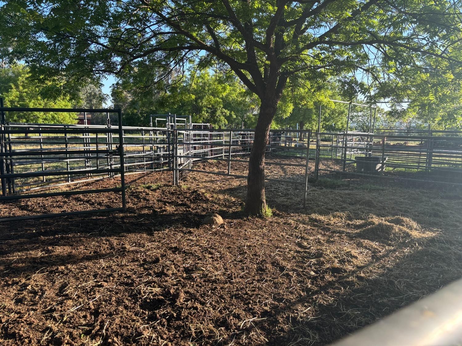FOR SALE - A MUST SEE!