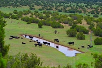 NEW MEXICO RANCH PROPERTY 209 Acres