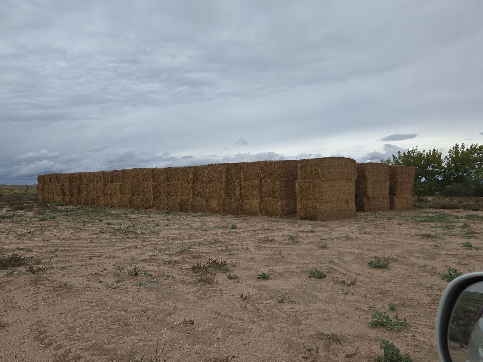 Alfalfa Hay Supreme and Feeder